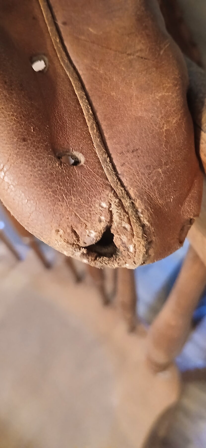 Rawlings RBG softball glove leather damage before restoration